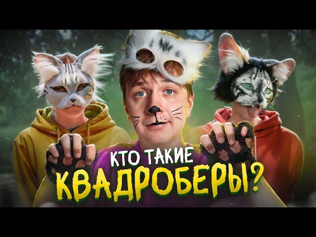 Кто такие КВАДРОБЕРЫ?