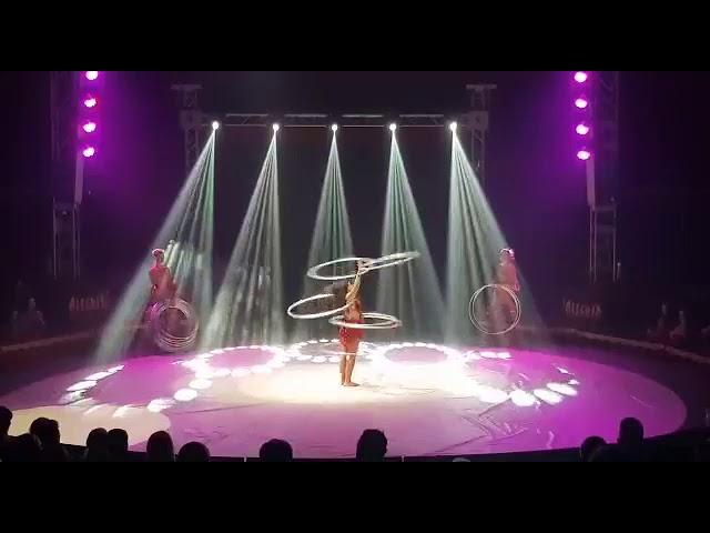 1453 Hula hoops