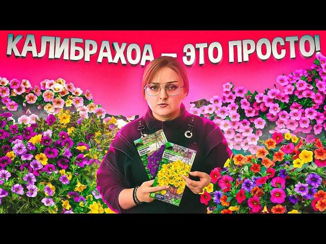 КАЛИБРАХОА! КАК ПРАВИЛЬНО СЕЯТЬ? ЛУЧШАЯ ШПАРГАЛКА ДЛЯ ДАЧНИКА