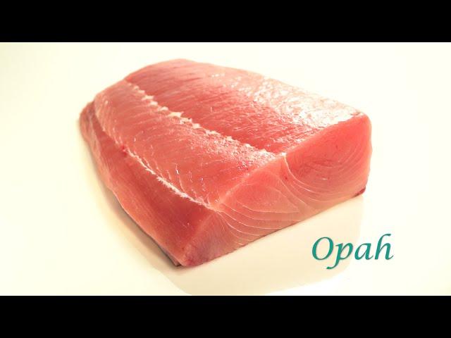 Honolulu Fish Company - Opah (Moonfish)