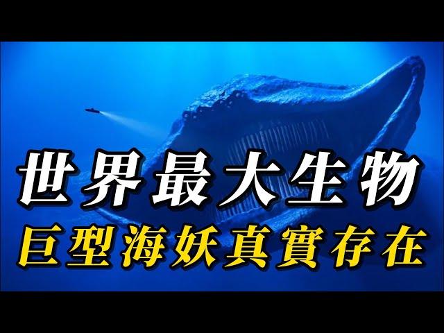 全世界最大的10种巨型生物，第5名可活数百年！ 第一名是巨型“海妖”，眼睛如“灯笼”！ #animals #野生动物 #科普 #野生生物 #动物 #涨知识