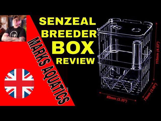 SENZEAL AQUARIUM BREEDER BOX REVIEW.