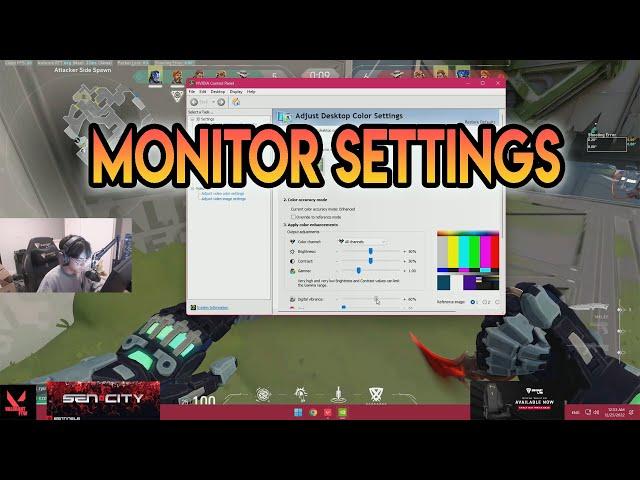 SEN TenZ Monitor Settings