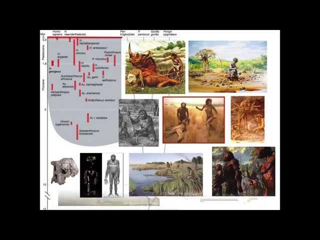 Evolution of the Human Diet, by Leslie Aiello