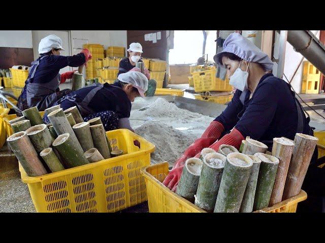 Wonderful Korean Bamboo Salt Factory. Hot Roasted Salt Mass Production Process