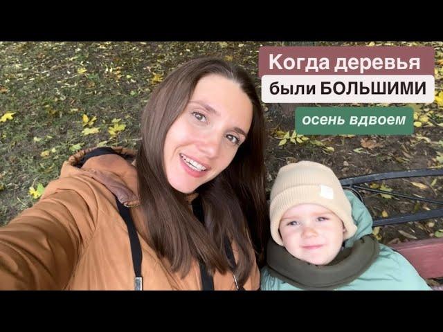 Когда деревья были большими. Золотая осень в Могилёве. Октябрь 2022 год. Из архивов