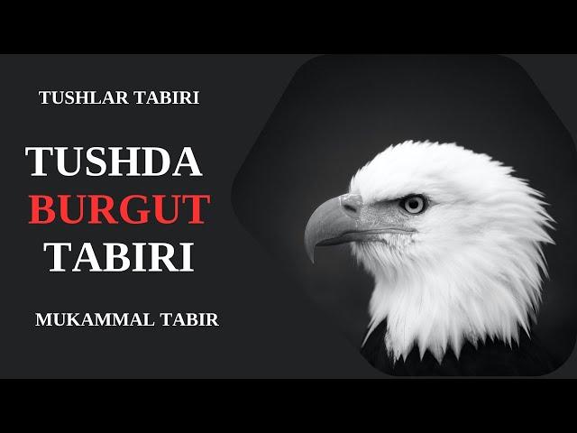 TUSHDA BURGUT TABIRI | TUSHDA BURGUTNI KO'RISH NIMAGA ISHORA BO'LADI?