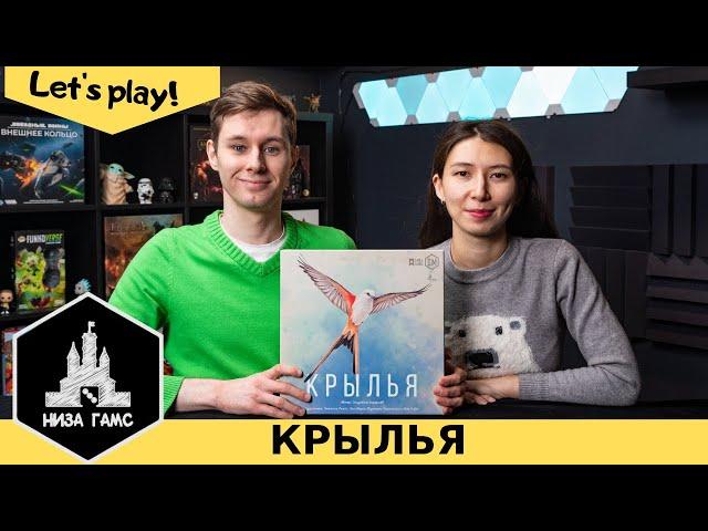 Играем в Крылья! Одна из самых хайповых семейных игр последних лет. Правила и летсплей.