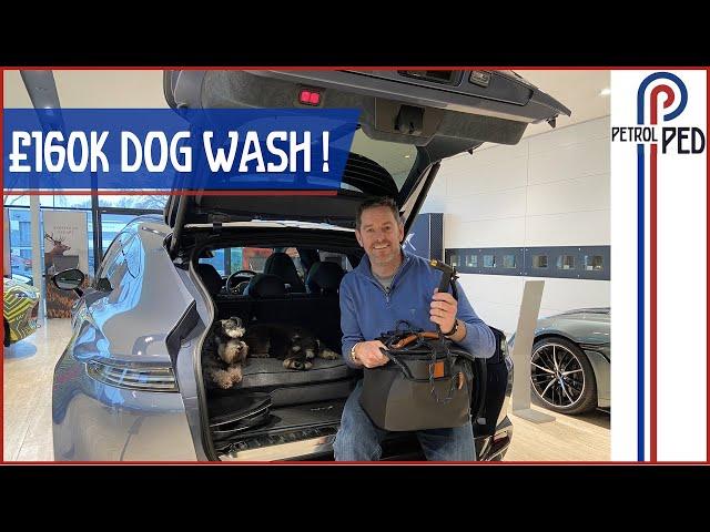 2020 Aston Martin DBX - Aston's most important car ever has a DOG WASH ! [5 Things to Know !]