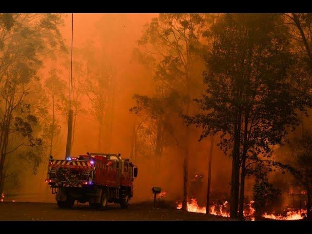 Australia declares state of emergency for New South Wales amid bushfires, record temps