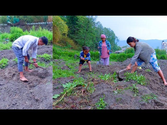 our farm field , working with brothers , sister & mother dhanlaxmi || sumnima Rai @SumnimaRaini
