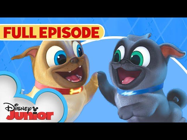 Puppy Dog Pals S1 E1 Full Episode  | Hawaii Pug-Oh ️ / A.R.F. | @disneyjr