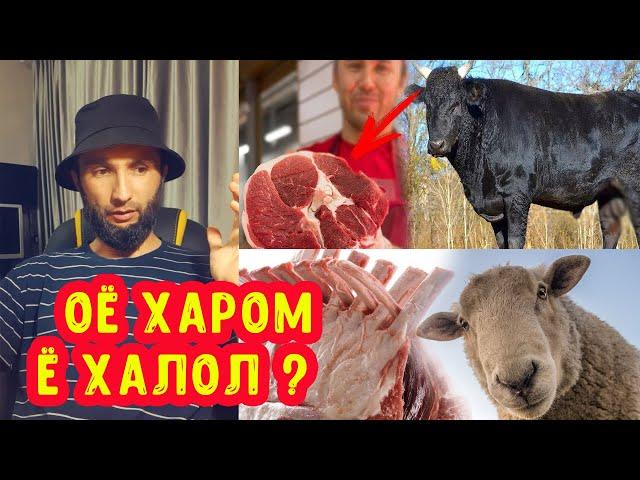 ГУШТЕ, КИ АЗ МАFОЗА МЕХАРЕД ХАЛОЛ КУШТА ШУДААСТ Ё НЕ? (JAVLON LIFE) 2023