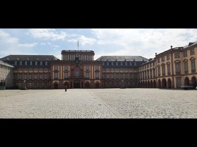 Mannheim Palace And The University