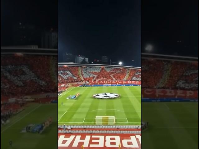 ХОРЕО НА МАРАКАНЕ! #championsleague #crvenazvezda #лигачемпионов #дневникфаната #спартак