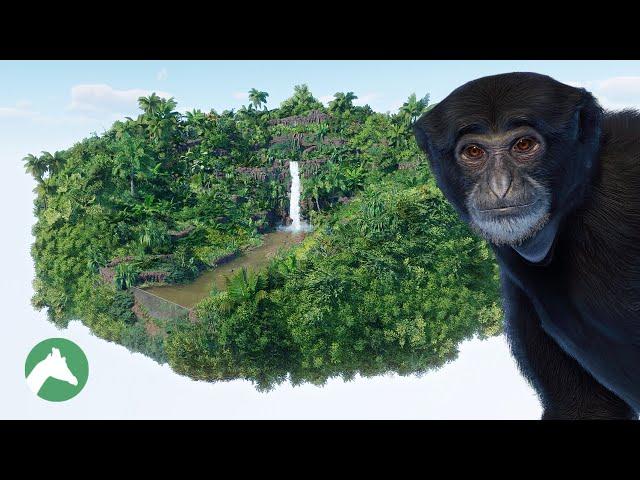 Tropical Diorama | Planet Zoo