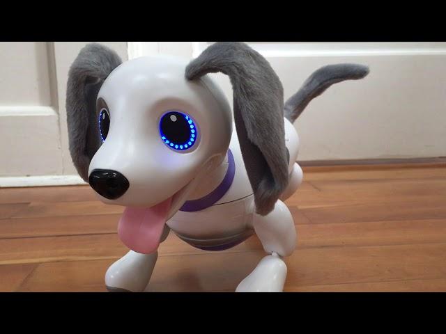 Zoomer Playful Pup All Voice Commands