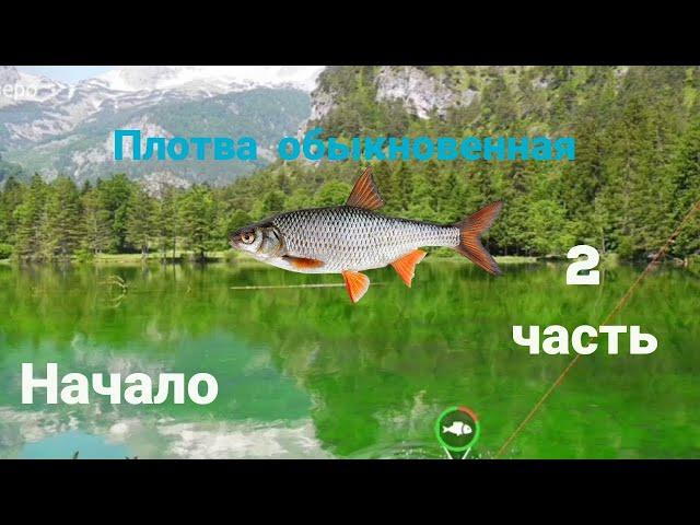 My Fishing World.#2  Плотва обыкновенная.