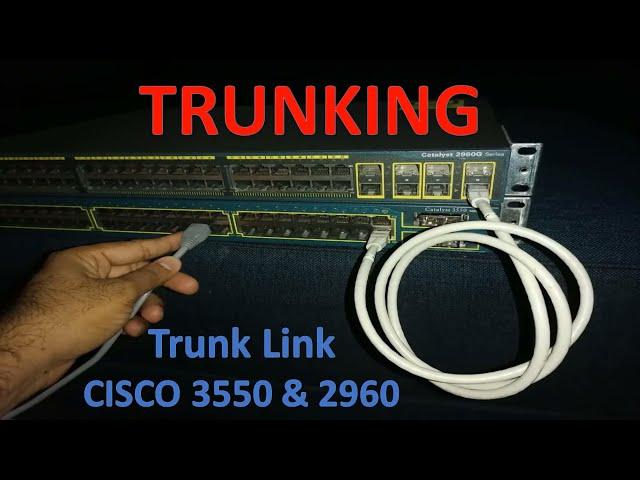 how to configure trunk port on cisco switch | Trunk Port configuration