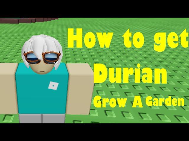 How to Get Durian in  Grow A Garden! Roblox