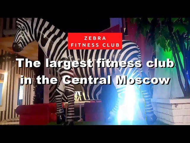 ZEBRA FITNESS CLUB  - The Largest Fitness Club in the Central Moscow #Россия