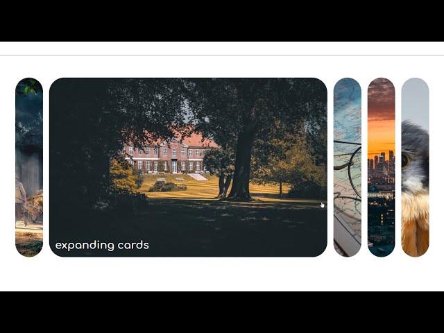 How To Create Expanding Image Gallery Using HTML  CSS & JS | Expandable Card on Hover | @codebrowser