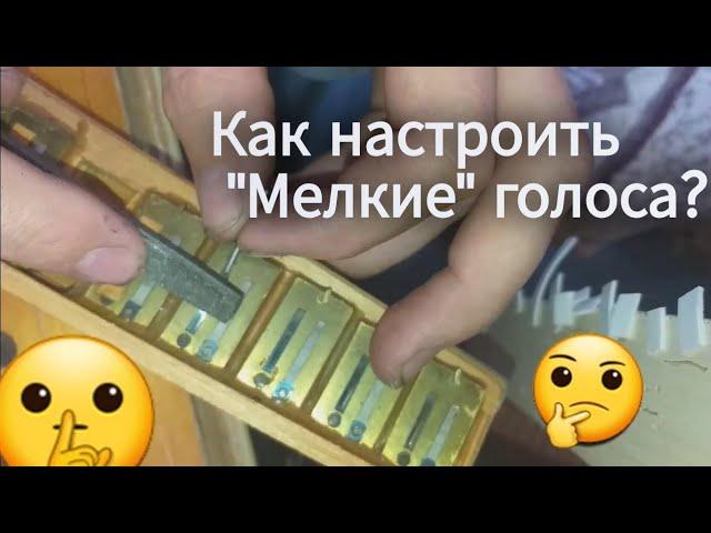 Как настраивать самые мелкие голоса на баяне или аккордеоне? Совет от мастера