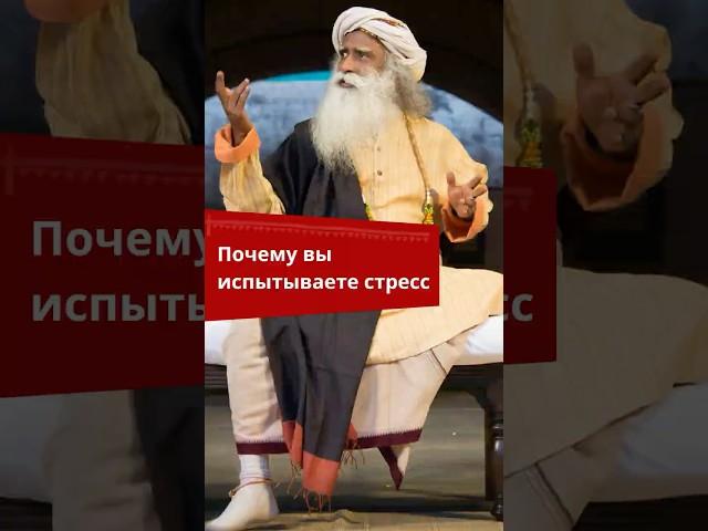 Причина стресса — не жизнь, а неумение с ней обращаться