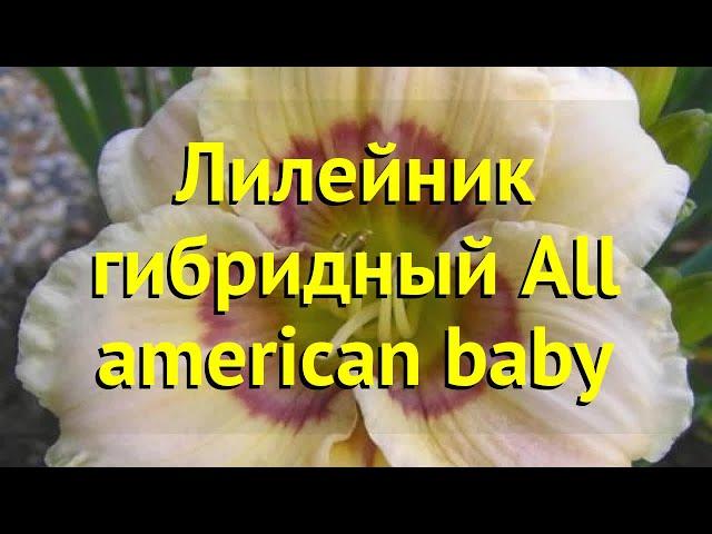 Лилейник гибридный Олл Американ Байби. Краткий обзор, описание hemerocallis All american baby