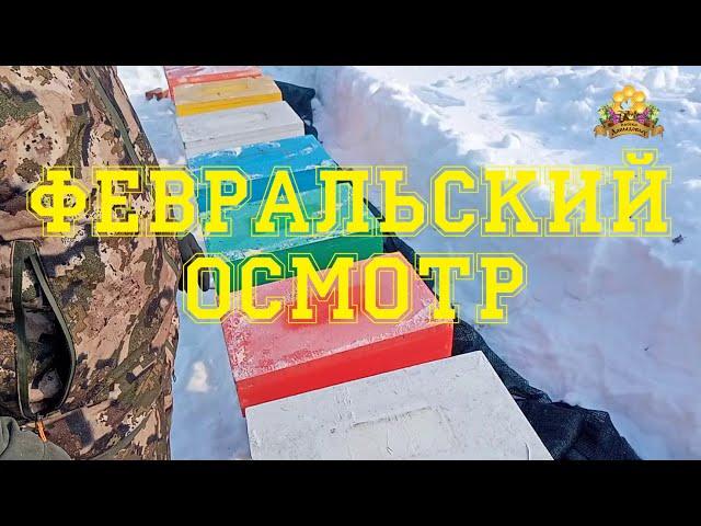 Февральский осмотр, шестирамочников ЭППС