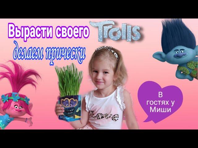 Вырасти своего Тролля // набор для творчества // делаем прически Trolls //влог в гостях у друга Миши