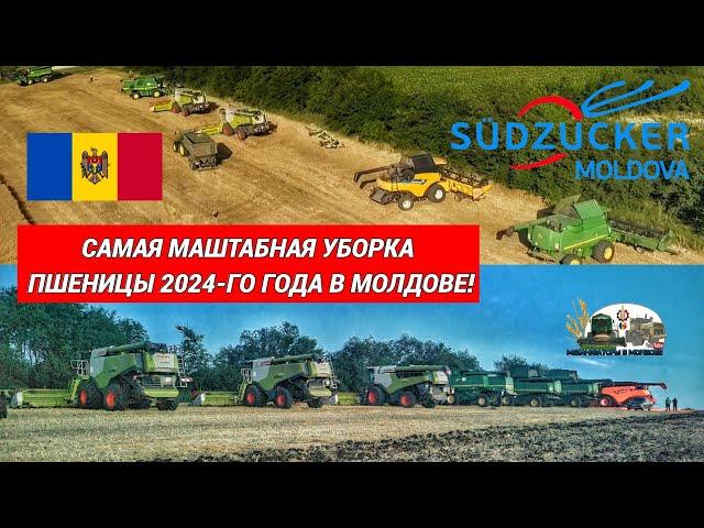 САМАЯ МАШТАБНАЯ УБОРКА ПШЕНИЦЫ В МОЛДОВЕ! 7 Комбайнов и 5 Тракторов John Deere,Claas,Fendt и NH!