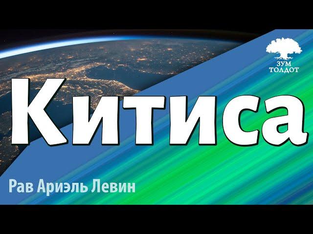 Недельная глава «Китиса». Рав Ариэль Левин