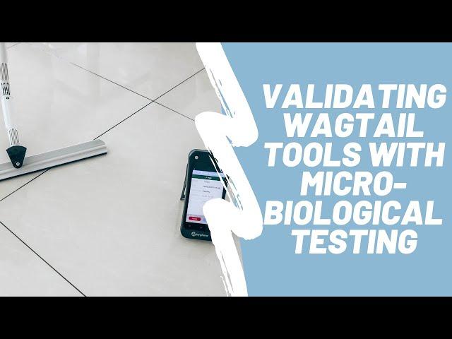 Validating Wagtail Tools with Microbiological Testing