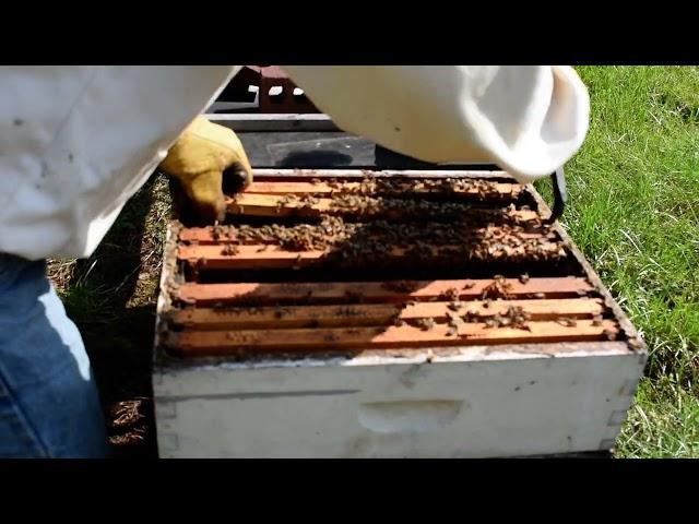 how to balance hives