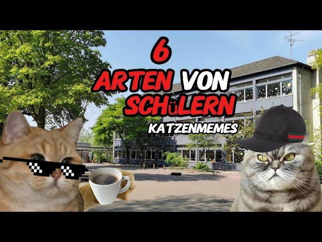 6 Arten von Schülern in der Schule mit Katzen