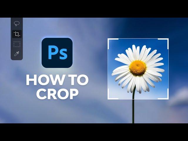 How to Crop in Photoshop