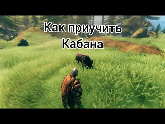 Приучить кабана в Fortnite.