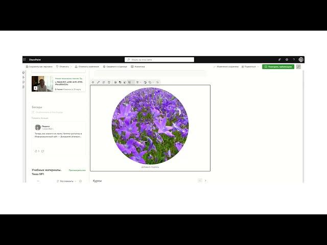 Microsoft SharePoint Online. Применение фигур к изображениям