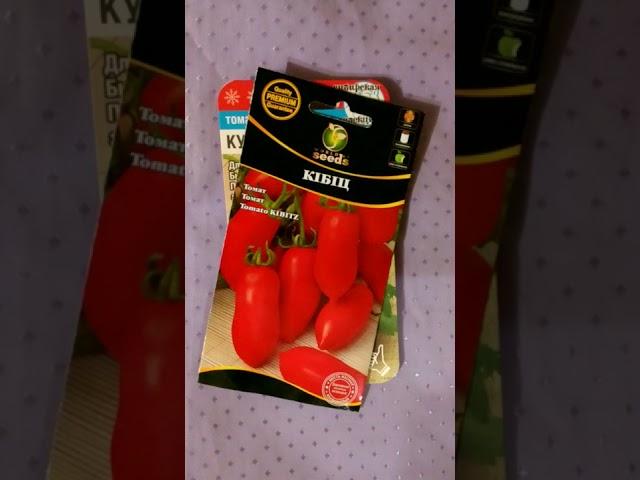 Низкорослые томаты, которые я всем рекомендую