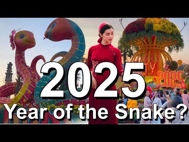 Year of the Snake  2025 Vietnam New Year - Hue Vietnam