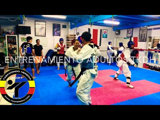 Entrenamieto adultos taekwondo heredia