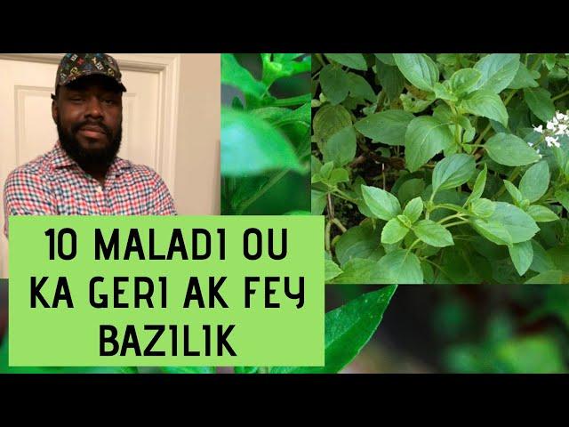 Fey BAZILIK ka geri 10 maladi ke ou pat janm panse  / Yon Ti Konsey