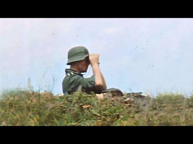 Amateur footage 8th Panzer Division on the Eastern front (Summer 1941)