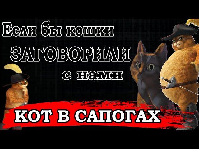 ЕСЛИ БЫ ТВОЙ КОТ ЗАГОВОРИЛ (переозвучка)