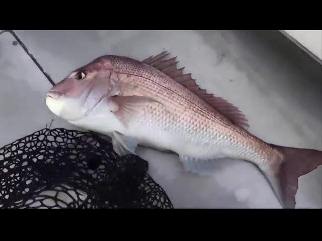 Boynton Beach Drift Boat Fishing Charters