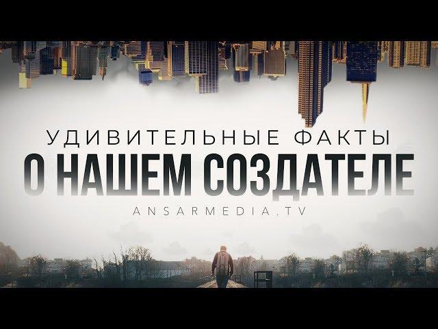 Удивительные факты о нашем Создателе