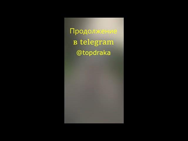 драка школоты за ленку