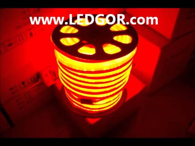 Cuttable LED Neon Rope Red Color Waterproof 220V 120V  - Ledgor