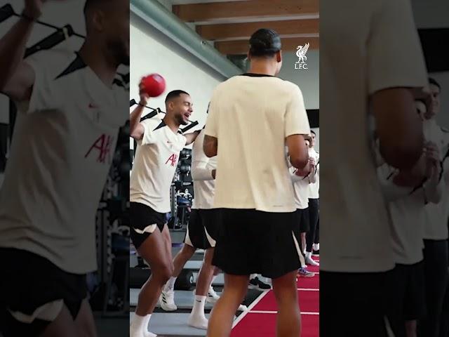 Darwin & Virgil 